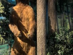 -陕西自然博物馆