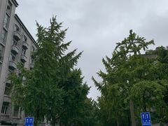 -四川大学(望江校区)