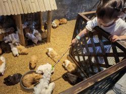 -酷嗒动物文化乐园(cutezoo西溪乐天城店)