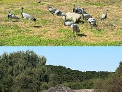 -沈阳森林动物园