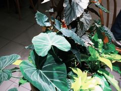 -The Good Place好地方·Brunch·coffee(国贸店)