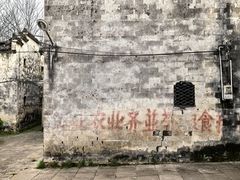 -东梓关景区村庄