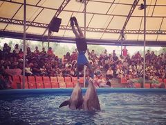 -尼莫海豚馆