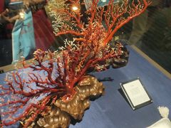 -绮丽珊瑚(台北101旗舰门市店)