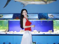 -重庆欢乐海底世界