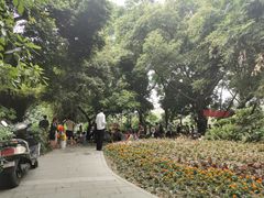 -成都市活水公园