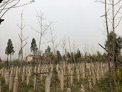 -西安关中民俗艺术博物院