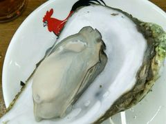 -蚝得喜海鲜(东城店)