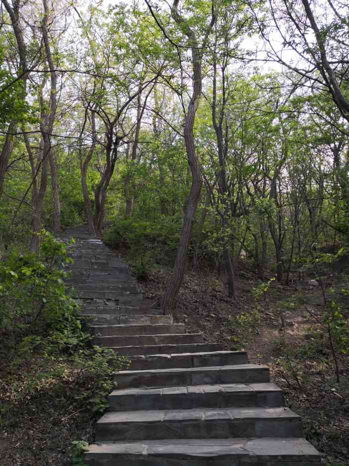 富国公园-"网红富国公园前一段时间真是火到人山人海的.