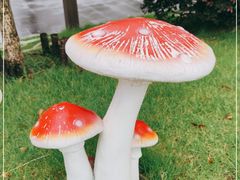 -上海爱以德护理院·康复(宝山院)