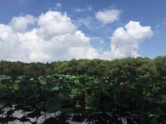 iphone_upload_pic-南湖大桥