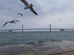 -星海广场