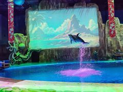 -华夏文旅海洋公园