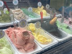 -柠檬车露(卖草地店)