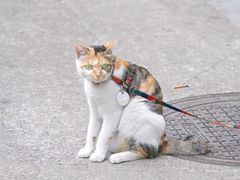 -Again Coffee Roaster(香蜜湖店)