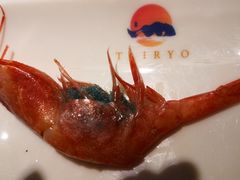 刺身甜虾-大渔之观(安贞店)