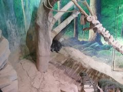 -正佳雨林生态植物园