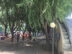 -北戴河集发农业梦想王国