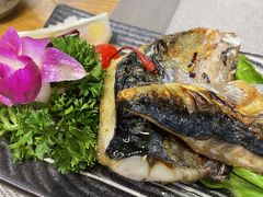 -樱の千渡日式料理·铁板烧•烧鸟(金盛田广场店)