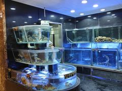 -稻香酒家·33年老字号·港式粤菜(富邦中心店)