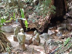 -七仙岭温泉国家森林公园