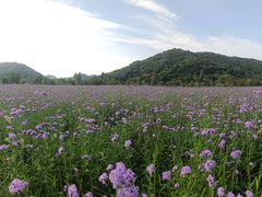 -杭州灵山景区