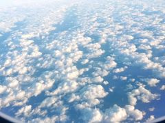 -全日本空输株式会社(上海办事处)