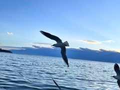 -六阅·福十 FORTEN 海景咖啡西餐厅(双廊古镇店)