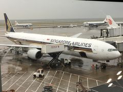 -新加坡航空公司(ION)