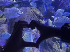 -太平洋海底世界