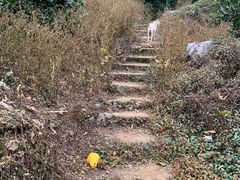 -大面山