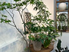-自由生长植物工作室(深港花卉中心店)