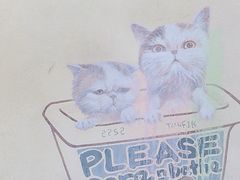 -槟城街头艺术街区