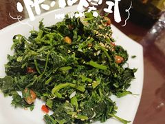 凉拌苜蓿-范记靖远羊羔肉(博物馆店)