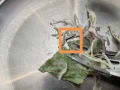 -奇帕波·披萨&炸鸡(诺和木勒站店)
