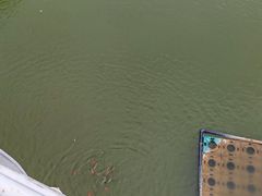 -南翠屏公园