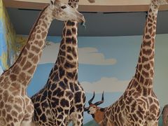 -陕西自然博物馆