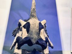 -中国西峡恐龙遗迹园