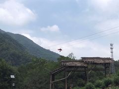 -水墨汀溪风景区