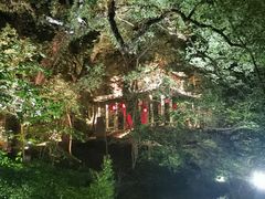 -溪口-滕头旅游景区