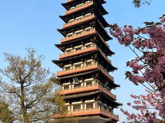 -大明寺素斋