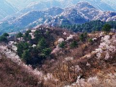 -龙泉峪长城