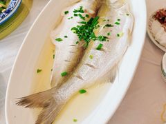 清蒸白丝鱼-芸海阁·农家私房菜(沙家浜景区出口店)