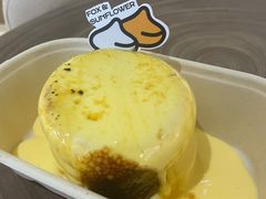 -狐狸和向日葵(北京路店)
