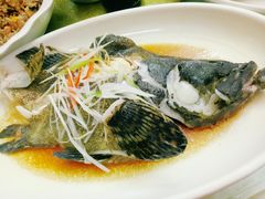 -悦来酒家·正宗闽南菜(西街店)