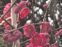 -洛阳市隋唐城遗址植物园