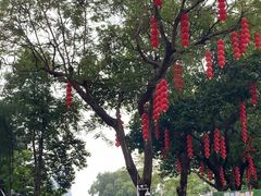 -荔湾湖公园