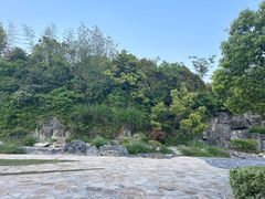 -上海吴淞炮台湾国家湿地公园