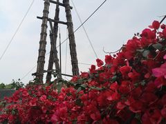 -燊海井