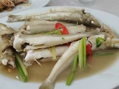 沙尖鱼-老三鱼仔店